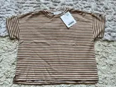 Tシャツのサムネイル