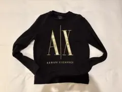 【最終値下げ】ARMANI EXCHANGE ICONトレーナー アルマーニ　M