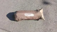 Item thumbnail for item 60f42f4c-4b00-48e5-ac0f-bfebd55268a2