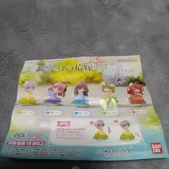 映画　五等分の花嫁　ハグコット　スペシャルカラー　４体セット