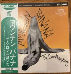 ザ・クロマニヨンズ 緑色の上着+缶バッジ2つ Lサイズ マウンテンバナナ
