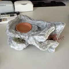 Item thumbnail for item 80b6db7f-e55f-40e1-b1ae-770074c51128