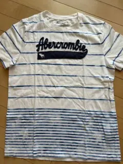 アバクロAbercrombie&Fitch☆半袖Tシャツ15-16