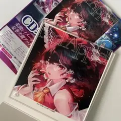 【東方Project】 ダイソー 博麗霊夢CDジャケット風アクリルボード