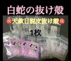 白蛇の抜け殻☆巳年生まれが育てるヘビのお守り☆運気上昇【天赦日脱皮抜け殻】1