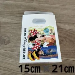 Disney ミッキーマウス　ミニーマウス　紙袋のサムネイル