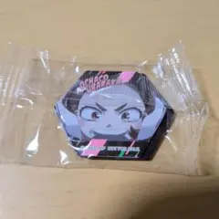 くら寿司 ヒロアカ マグネットシート 2個セット（緑谷・麗日）