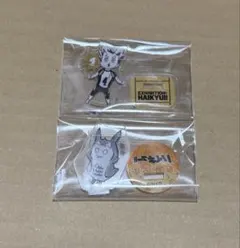 2026年最新】ハイキュー アクリルminiの人気アイテム - メルカリ