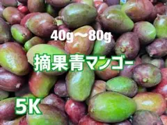 摘果マンゴー8キロ - メルカリ