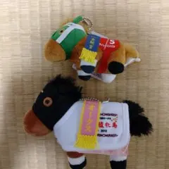 サラブレッドコレクション