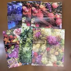 読売新聞回収袋　フラワー 7枚