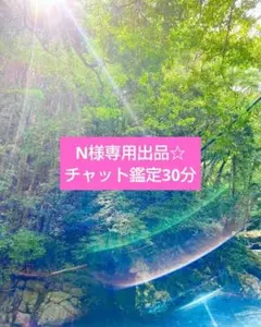 【N様専用出品】チャット鑑定 30分占い放題☆