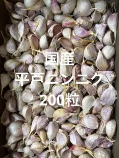 【国産平戸ニンニク】※概ね３ｇ以上400粒【希少】 国産平戸ニンニク】※概ね3g以上400粒【希少】 - メルカリ