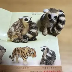 2026年最新】ワオキツネザルの人気アイテム - メルカリ