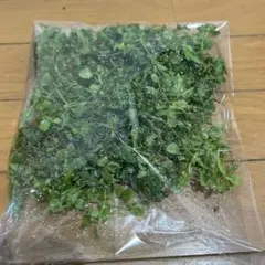 Item thumbnail for item a18f2169-b004-4a58-9770-f02607de3971