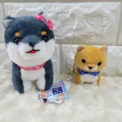 豆柴三兄弟✨犬のぬいぐるみ リボン付きとミニミニ柴犬ちゃん！
