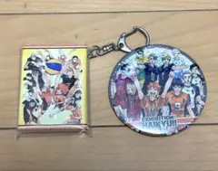 ハイキュー‼︎ コレクション缶バッジ 即購入⭕️