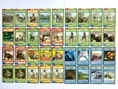 ダイナソー バトルトレカ コレクション＊36枚セット：キラカード