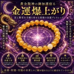 特級呪物S S ｜金運覚醒・現実逆転天然石 金が自然に集まり始める 特級呪物】金運霊石｜巡りを動かす一点物 曰く付き - メルカリ