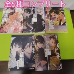 ☆計8点 春夏秋冬代行者 メロンブックス 有償特典 短編小説集 小冊子