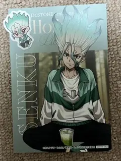 Dr.STONE mixx garden BIGマット缶バッジ 石神千空 - メルカリ