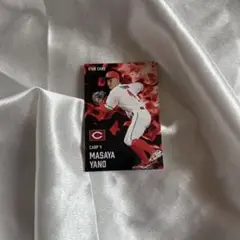 プロ野球チップスカード 2025 スターカード 矢野雅哉
