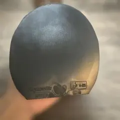 ディグニクス09C 黒特厚