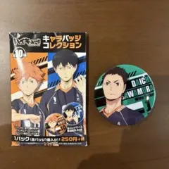 ハイキュー!! コレクション缶バッジ第5弾 澤村大地 - メルカリ