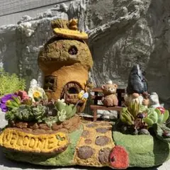 どんぐりハウス　くまさん　妖精さん　プランター