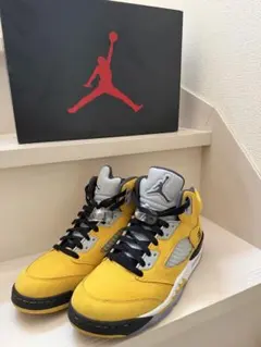 激レア　エアジョーダン　AIR JORDAN5 Tokyo 28cm
