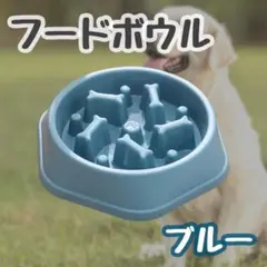 フードボウル 小型犬 中型犬 早食い防止 餌皿 スローフード 犬 猫