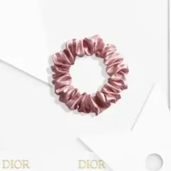 新品未開封　ディオール　ピンクシュシュ　ノベルティ