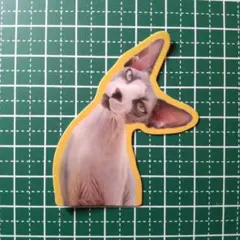 防水ステッカー　猫　動物　おもしろグッズ　J-057