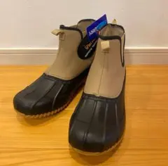 Item thumbnail for item 80c93721-f28f-44f0-a349-c039b865649f