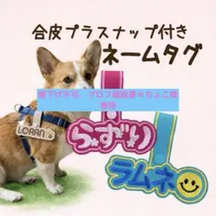まゆまゆ様専用☆ユリウスk9☆トレポンティ☆ネームタグ - メルカリ
