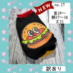 Item thumbnail for item 00081570-41f7-46f3-8fe2-58965792e42c