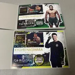 2026年最新】ラジャブアリシェイドゥラエフの人気アイテム - メルカリ