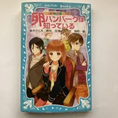 卵ハンバーグは知っている 探偵チームKZ事件ノート