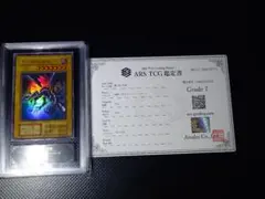 ARS10+ ジラーチ ARS鑑定品 鑑定書付き - メルカリ