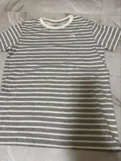 THE NORTH FACE ボーダー 半袖Tシャツ グレー NTW3909Z