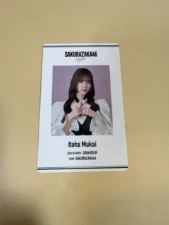 櫻坂46 CAFE 向井純葉 IDカード