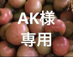 AK様　専用