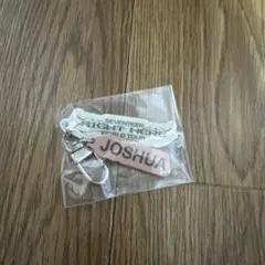 SEVENTEEN RIGHT HERE JOSHUA キーホルダー