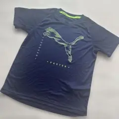 PUMA ネイビー Tシャツ