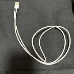 Lightningケーブル　2本　充電器