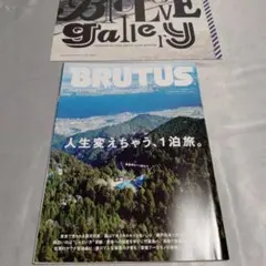BRUTUS 人生変えちゃう1泊旅。 2022年5月1日号 ブルータス 一人旅