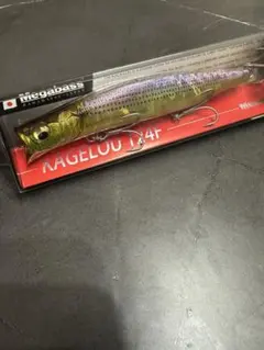 Item thumbnail for item 29291fdc-0271-402f-bd56-107fe51e8a9a