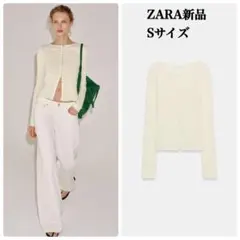 新品未使用タグ付きZARA ラスティックTシャツ L - メルカリ