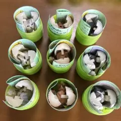 チョコエッグ　ペルシャ　9個セット　④のサムネイル