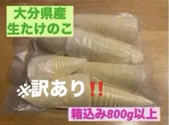 【訳あり】生たけのこ800g以上(箱込み1kg) 5/4収穫のサムネイル